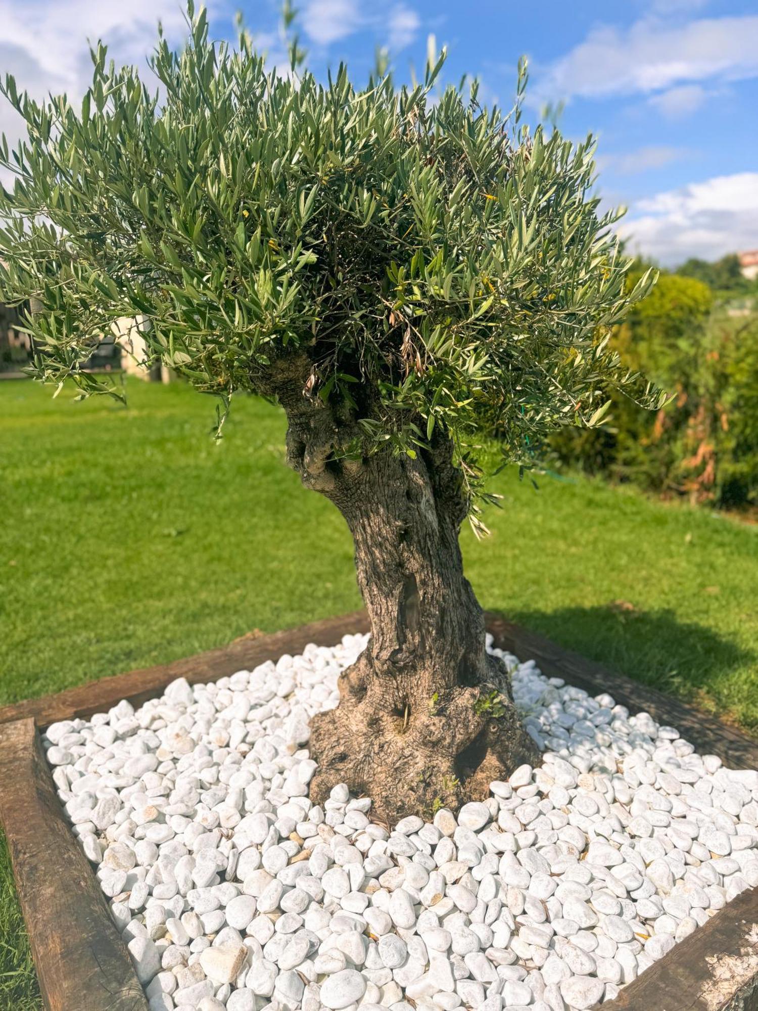 Villa Adina Sanxenxo - Rias Baixas Zewnętrze zdjęcie